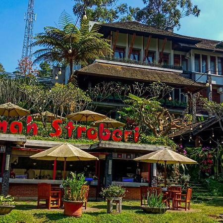 Rumah Stroberi Organic Farm & Family Lodge Lembang Esterno foto
