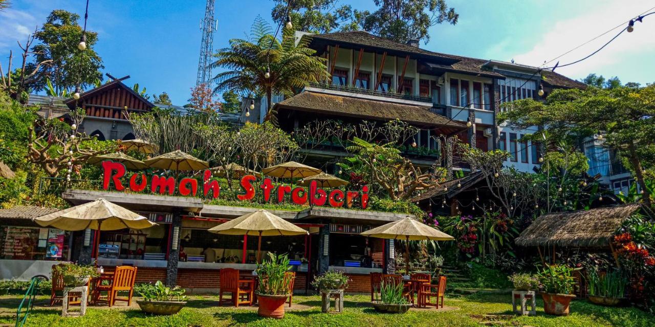 Rumah Stroberi Organic Farm & Family Lodge Lembang Esterno foto